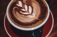 味道强烈的印尼曼特宁咖啡产区风味口感特点介绍卡哈阳甘庄园