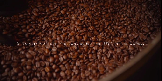 尼加拉瓜研討咖啡種植業的挑戰