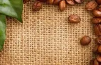 牙买加银山庄园咖啡风味种植产区特点精品咖啡豆介绍