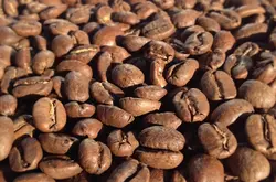 天然发酵和日晒埃塞俄比亚咖啡风味、特色、口感及庄园介