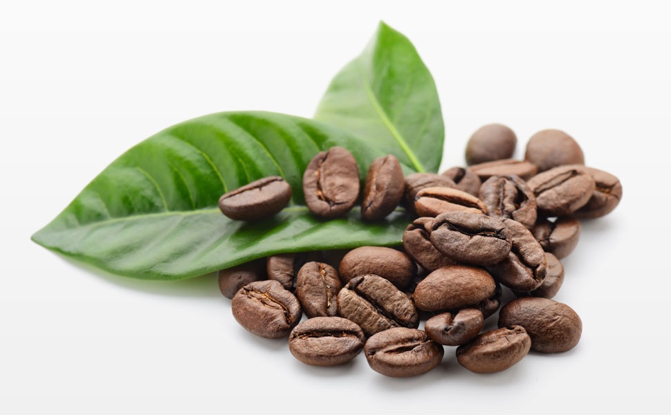 质地优良口味均衡萨尔瓦多咖啡风味、特色、口感及庄园