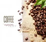 平衡、干净 哥斯达尼加叶尔莎罗咖啡风味、特色、口感及庄园