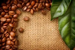 芳香四溢风味纯正 坦桑尼亚咖啡风味、特色、口感及庄园