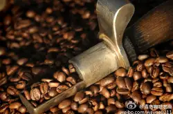 特别浓稠香醇外壳发酵醇浓稠 麝香猫咖啡风味、特色、口感及庄园