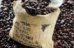 芳香四溢风味纯正坦桑尼亚咖啡风味、 特色、口感及庄园