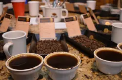 醇厚、风味、甜味三者具备拉丁美洲咖啡风味、特色、口感及庄园