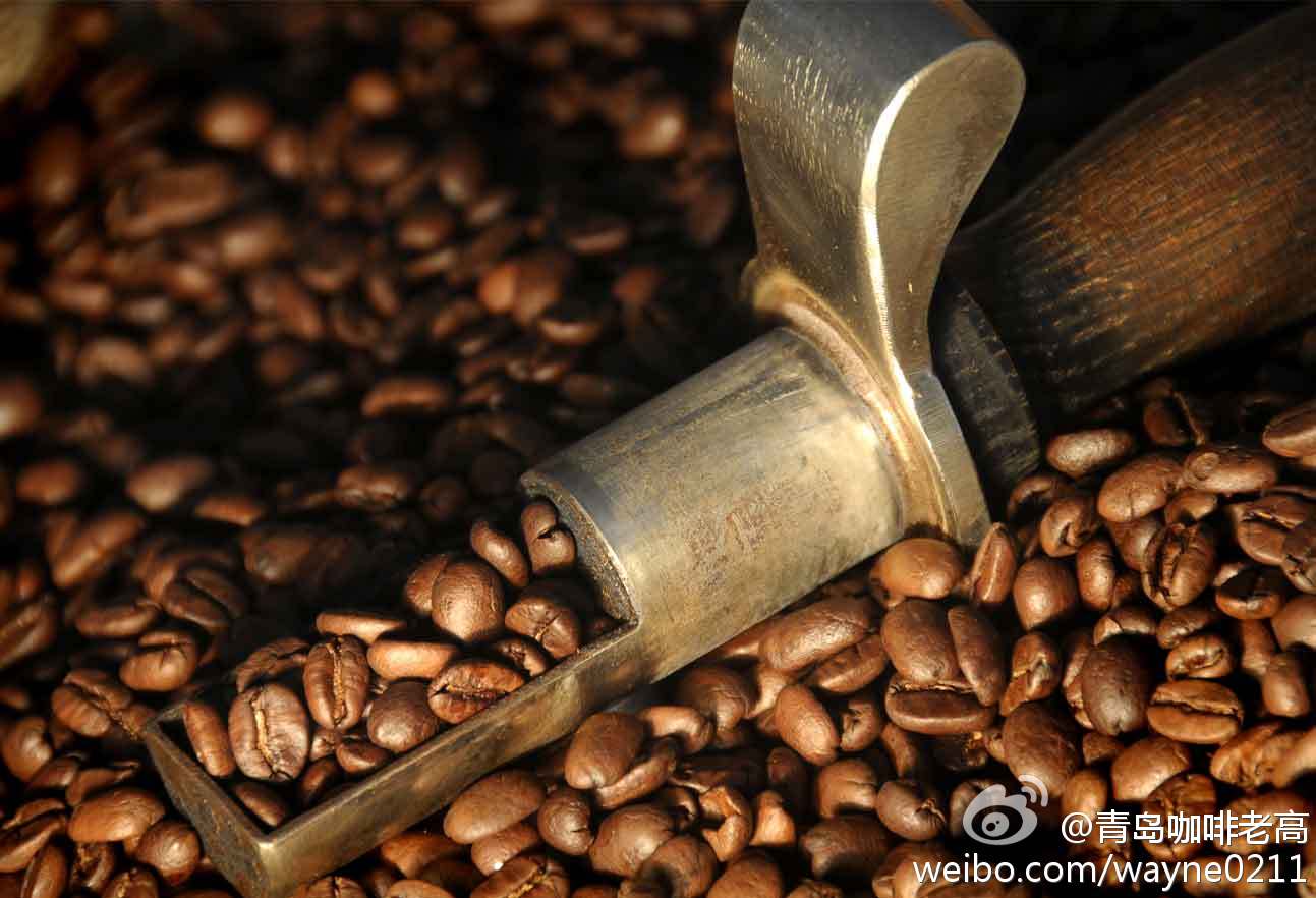 伯爵红茶口感香气的西达摩夏奇索咖啡品种特点口感庄园精品咖啡豆