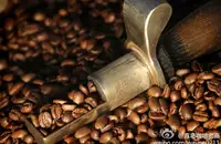 风味俱全致命芳香的玛翡咖啡品种特点口感庄园精品咖啡豆风味介绍