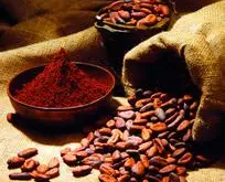 肯尼亚锦初谷咖啡风味口感庄园产区特点精品咖啡豆介绍
