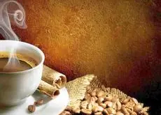 铁皮卡咖啡铁皮卡咖啡豆云南铁皮卡咖啡品种 之 铁皮卡铁皮卡咖啡