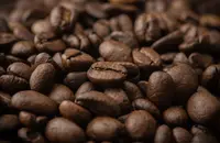 浓烈回味悠长口味芳香拉雷斯尧科咖啡风味、特色、口感及庄园介