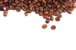 甘酸苦三味搭配完美的蓝山咖啡品种特点口感庄园精品咖啡豆风味介