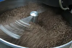 温和 酸苦甜味萨尔瓦多咖啡品种特点口感庄园精品咖啡豆风味
