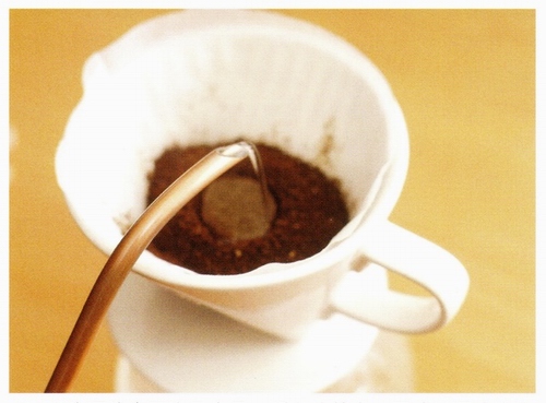 甜味果实的哥斯达尼加圣罗曼咖啡品种特点口感庄园精品咖啡豆风味