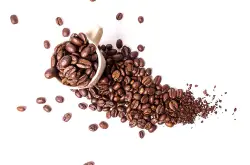 尾韵和香气持久的丘比特咖啡品种特点口感庄园精品咖啡豆风味介绍