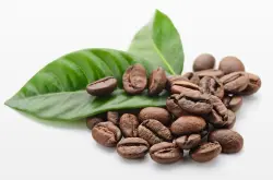 风味多种巴拿马品种口感特点庄园精品咖啡豆风味介绍