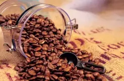 甜味果实的哥斯达尼加圣罗曼咖啡品种口感特点庄园精品咖啡豆风味