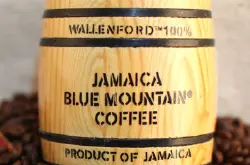 甘酸苦三味搭配完美的蓝山咖啡口感特点品种庄园精品咖啡豆风味介