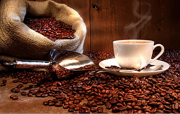浓稠酵醇麝香猫咖啡口感品种特点庄园精品咖啡豆风味介绍