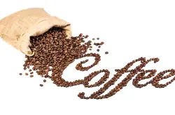粒型完整风味独特的也门咖啡口感品种特点庄园精品咖啡豆风味介绍