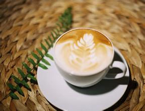 味道丰富均衡的玻利维亚雪脉庄园咖啡风味口感特点精品咖啡介绍