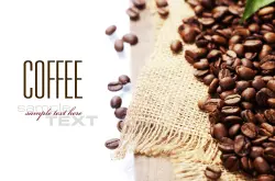 高均衡度的爪哇咖啡品种口感特点庄园精品咖啡豆风味介绍