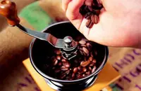 果酸独特肯尼亚锦初谷咖啡品种口感特点庄园精品咖啡豆风味介绍