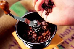 果酸独特肯尼亚锦初谷咖啡品种口感特点庄园精品咖啡豆风味介绍