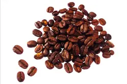 浓稠酵醇的麝香猫咖啡品种口感特点庄园精品咖啡豆风味介绍