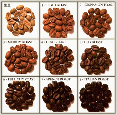 酵醇浓稠麝香猫咖啡品种特点庄园精品口感咖啡豆风味介绍