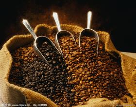 牙买加咖啡市场将多元化发展