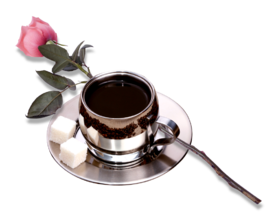 风格明亮，香气十足的哥斯达黎加叶尔莎罗咖啡风味口感庄园介绍