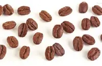云南铁皮卡咖啡品种风味描述产区精品咖啡豆介绍