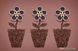 麝香猫咖啡风味品种产区特点精品咖啡豆庄园介绍