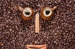 墨西哥咖啡年产量达450万袋