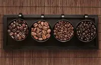 香味独特浓烈的哥斯达黎加火凤凰庄园咖啡研磨度口感特点介绍
