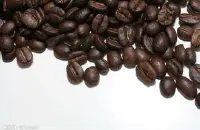 水果香气的玻利维亚雪脉庄园咖啡研磨度口感风味描述庄园介绍