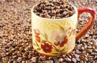 中国云南铁皮卡咖啡研磨度特点处理法口感庄园产地区介绍