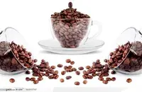 哥斯达黎加火凤凰庄园咖啡研磨度处理法产区品种介绍