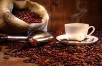 巴布亚新几内亚天堂鸟庄园咖啡风味描述研磨度特点品种产区口感介