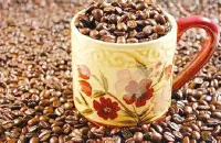 浓度更浓的乞力马扎罗咖啡风味描述研磨度特点口感品种产区介绍
