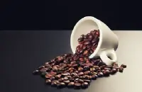 尼加拉瓜克利夫庄园咖啡风味描述研磨度特点品种介绍