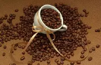 香味浓郁的云南铁皮卡咖啡风味描述处理法口感价格特点介绍