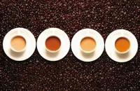 风格明亮的哥斯达黎加叶尔莎罗咖啡风味描述研磨度特点价格介绍