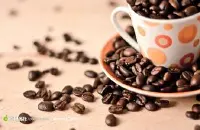 牙买加银山庄园咖啡研磨度处理法价格口感产区种植环境烘焙程度介
