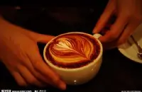 肯尼亚锦初谷咖啡风味描述处理法品质特点口感精品咖啡豆介绍