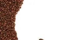 适合种植咖啡豆的大洲-中国种植咖啡豆