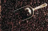世界上种植咖啡海拔最低的大洲
