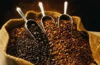 哥伦比亚希望庄园咖啡品种口感种类处理法产地区特点介绍