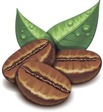 埃塞俄比亚西达摩G1G2咖啡豆风味描述口感品种介绍